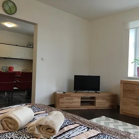 Rokycanska Apartamento *