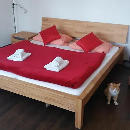 Apartamento Rokycanska *